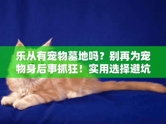 乐从有宠物墓地吗？别再为宠物身后事抓狂！实用选择避坑指南