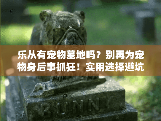 乐从有宠物墓地吗？别再为宠物身后事抓狂！实用选择避坑指南