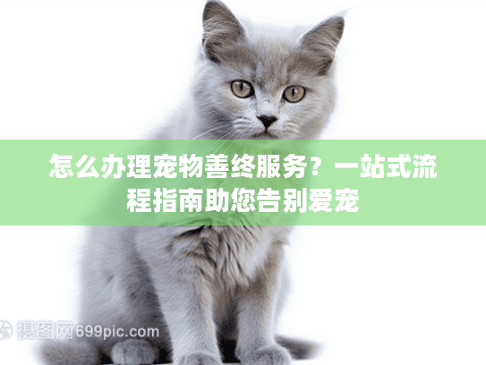 怎么办理宠物善终服务？一站式流程指南助您告别爱宠