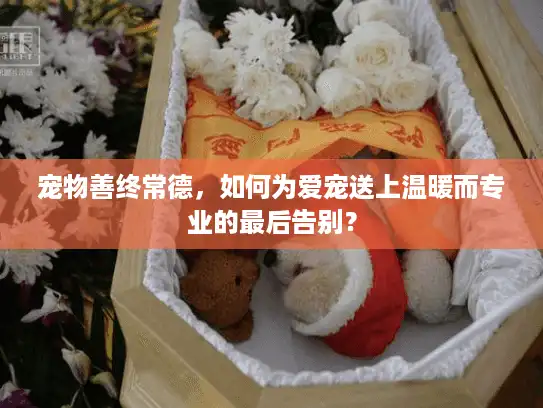 宠物善终常德，如何为爱宠送上温暖而专业的最后告别？