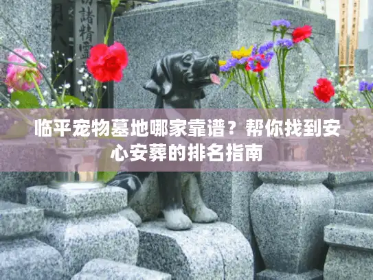 临平宠物墓地哪家靠谱？帮你找到安心安葬的排名指南