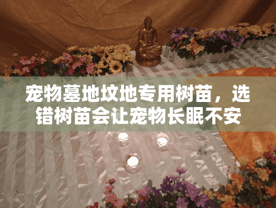 宠物墓地坟地专用树苗，选错树苗会让宠物长眠不安吗？