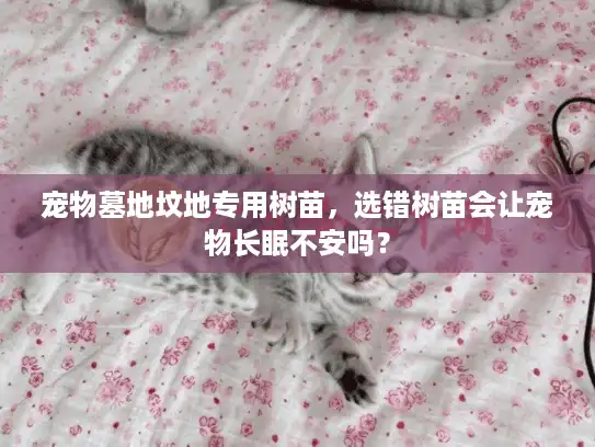 宠物墓地坟地专用树苗，选错树苗会让宠物长眠不安吗？