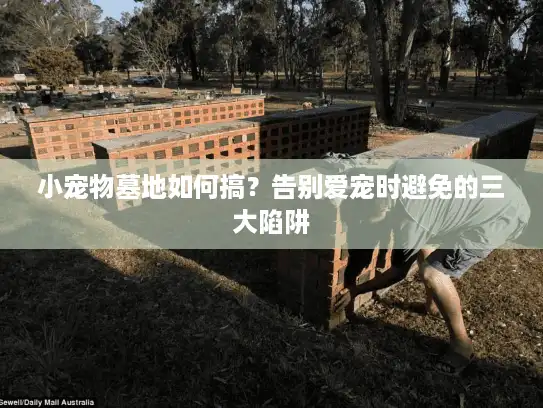 小宠物墓地如何搞？告别爱宠时避免的三大陷阱
