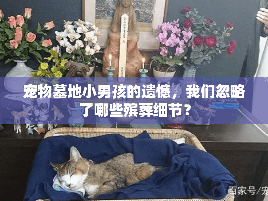 宠物墓地小男孩的遗憾，我们忽略了哪些殡葬细节？