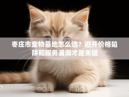 枣庄市宠物墓地怎么选？避开价格陷阱和服务漏洞才是关键