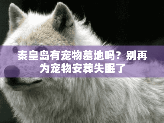 秦皇岛有宠物墓地吗？别再为宠物安葬失眠了