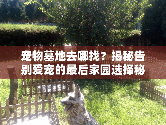宠物墓地去哪找？揭秘告别爱宠的最后家园选择秘诀