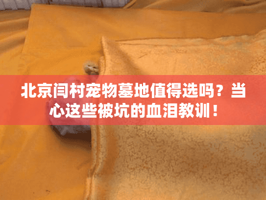 北京闫村宠物墓地值得选吗？当心这些被坑的血泪教训！
