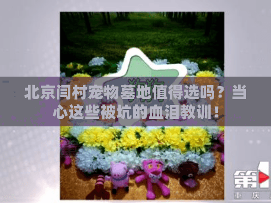 北京闫村宠物墓地值得选吗？当心这些被坑的血泪教训！