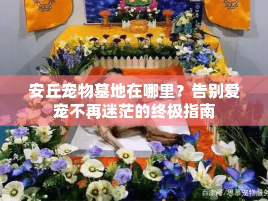 安丘宠物墓地在哪里？告别爱宠不再迷茫的终极指南