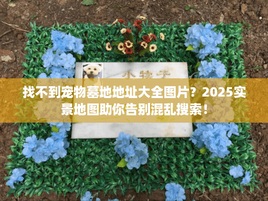 找不到宠物墓地地址大全图片?2025实景地图助你告别混乱搜索! 找不到宠物墓地地址大全图片?2025实景地图助你告别混乱搜索!