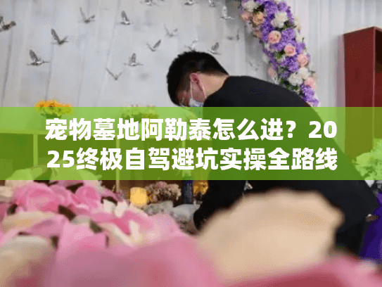 宠物墓地阿勒泰怎么进？2025终极自驾避坑实操全路线解锁