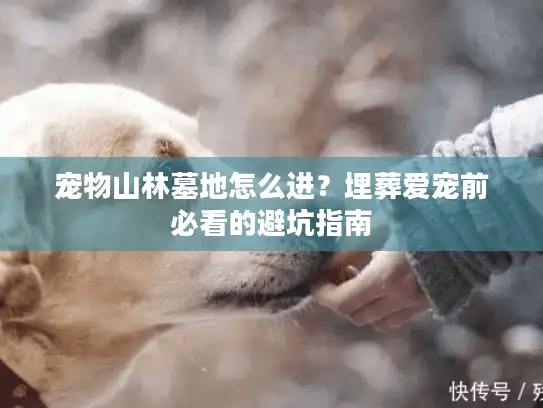 宠物山林墓地怎么进？埋葬爱宠前必看的避坑指南