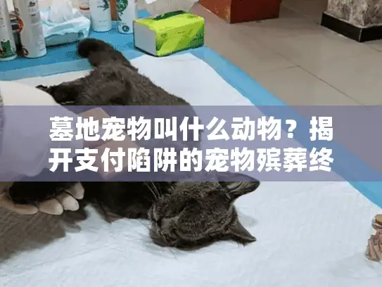 墓地宠物叫什么动物?揭开支付陷阱的宠物殡葬终极选择 墓地宠物叫什么动物?揭开支付陷阱的宠物殡葬终极选择