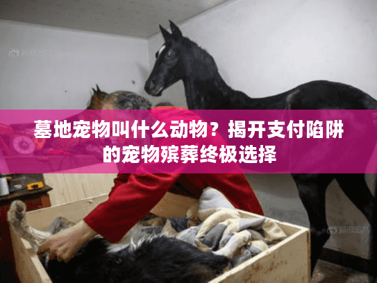 墓地宠物叫什么动物?揭开支付陷阱的宠物殡葬终极选择 墓地宠物叫什么动物?揭开支付陷阱的宠物殡葬终极选择