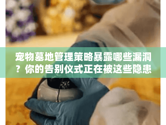 宠物墓地管理策略暴露哪些漏洞？你的告别仪式正在被这些隐患威胁！