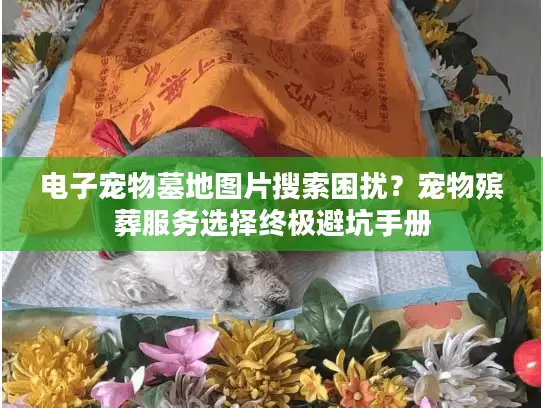 电子宠物墓地图片搜索困扰？宠物殡葬服务选择终极避坑手册