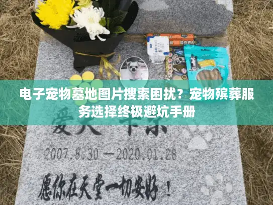 电子宠物墓地图片搜索困扰？宠物殡葬服务选择终极避坑手册