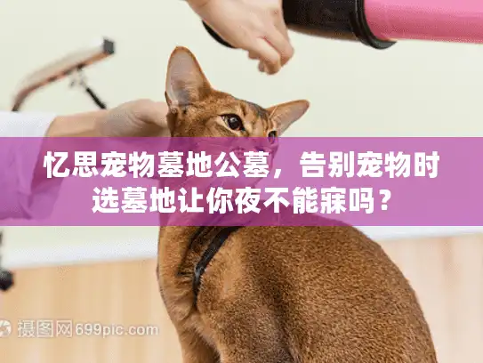 忆思宠物墓地公墓，告别宠物时选墓地让你夜不能寐吗？