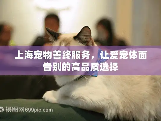 上海宠物善终服务，让爱宠体面告别的高品质选择