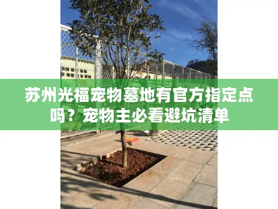 苏州光福宠物墓地有官方指定点吗?宠物主必看避坑清单 苏州光福宠物墓地有官方指定点吗?宠物主必看避坑清单