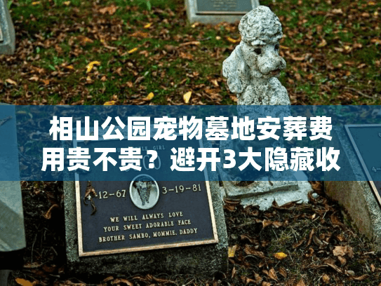 相山公园宠物墓地安葬费用贵不贵？避开3大隐藏收费实战解析