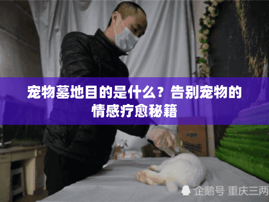 宠物墓地目的是什么？告别宠物的情感疗愈秘籍