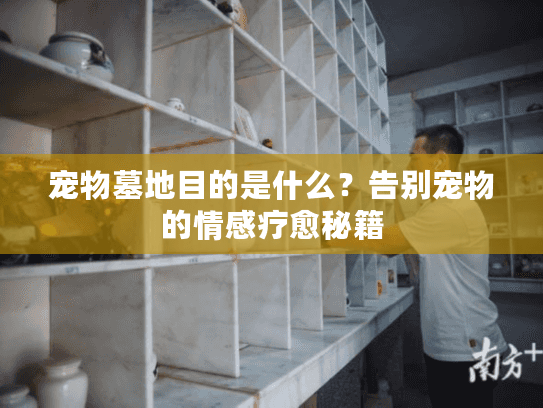 宠物墓地目的是什么？告别宠物的情感疗愈秘籍