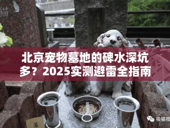 北京宠物墓地的碑水深坑多?2025实测避雷全指南 北京宠物墓地的碑水深坑多?2025实测避雷全指南
