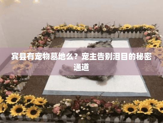 宾县有宠物墓地么?宠主告别泪目的秘密通道 宾县有宠物墓地么?宠主告别泪目的秘密通道