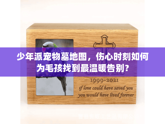 少年派宠物墓地图，伤心时刻如何为毛孩找到最温暖告别？