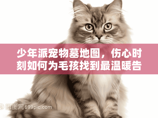 少年派宠物墓地图，伤心时刻如何为毛孩找到最温暖告别？