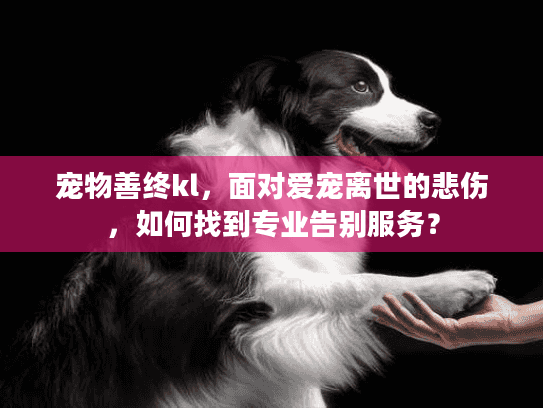 宠物善终kl，面对爱宠离世的悲伤，如何找到专业告别服务？