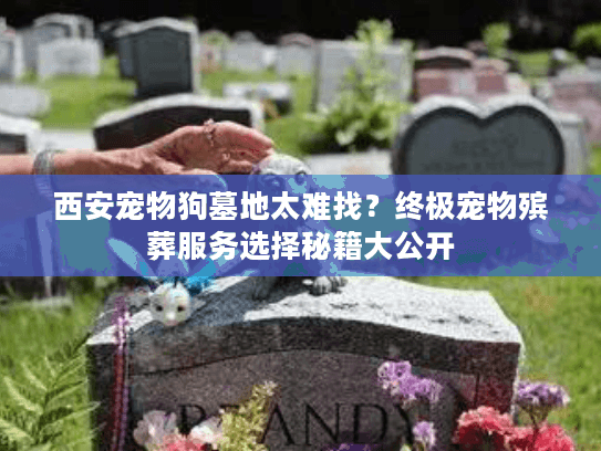 西安宠物狗墓地太难找?终极宠物殡葬服务选择秘籍大公开 西安宠物狗墓地太难找?终极宠物殡葬服务选择秘籍大公开