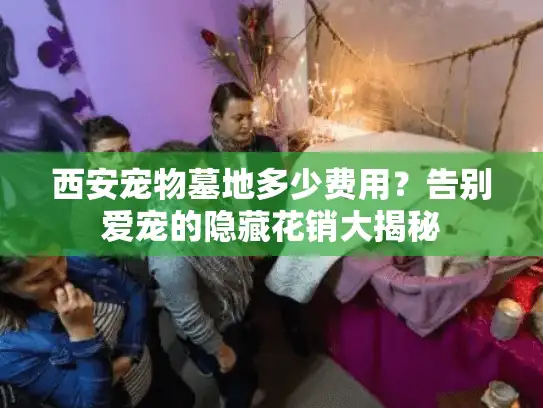 西安宠物墓地多少费用？告别爱宠的隐藏花销大揭秘