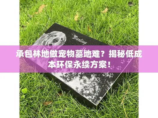 承包林地做宠物墓地难?揭秘低成本环保永续方案! 承包林地做宠物墓地难?揭秘低成本环保永续方案!