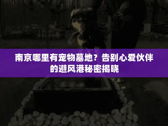南京哪里有宠物墓地？告别心爱伙伴的避风港秘密揭晓