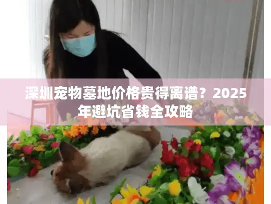 深圳宠物墓地价格贵得离谱？2025年避坑省钱全攻略