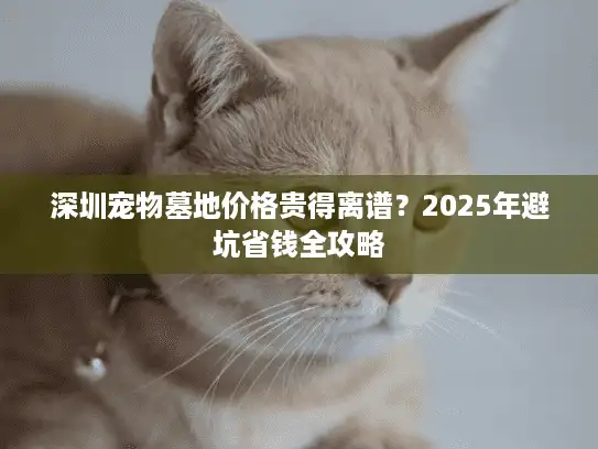 深圳宠物墓地价格贵得离谱？2025年避坑省钱全攻略