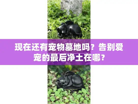 现在还有宠物墓地吗?告别爱宠的最后净土在哪? 现在还有宠物墓地吗?告别爱宠的最后净土在哪?