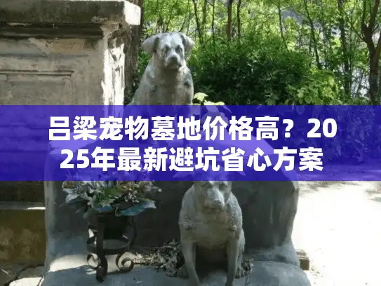 吕梁宠物墓地价格高？2025年最新避坑省心方案