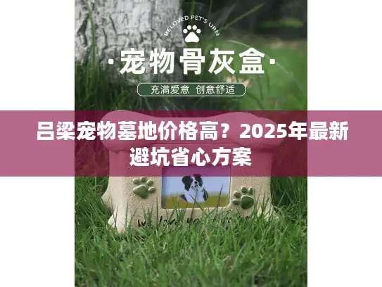 吕梁宠物墓地价格高？2025年最新避坑省心方案