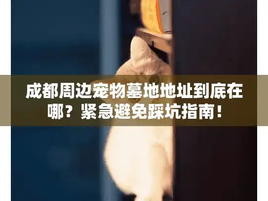 成都周边宠物墓地地址到底在哪？紧急避免踩坑指南！