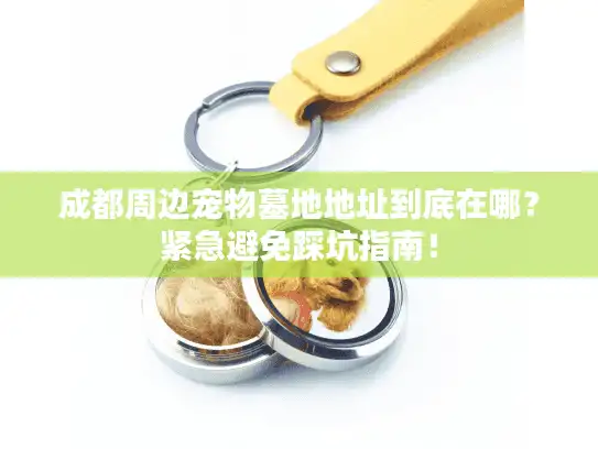 成都周边宠物墓地地址到底在哪？紧急避免踩坑指南！