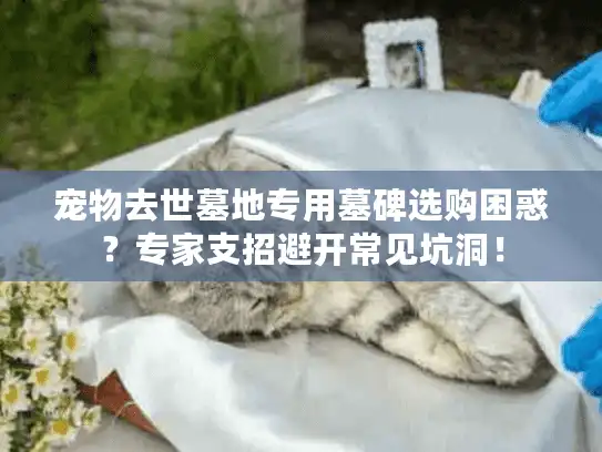 宠物去世墓地专用墓碑选购困惑?专家支招避开常见坑洞! 宠物去世墓地专用墓碑选购困惑?专家支招避开常见坑洞!
