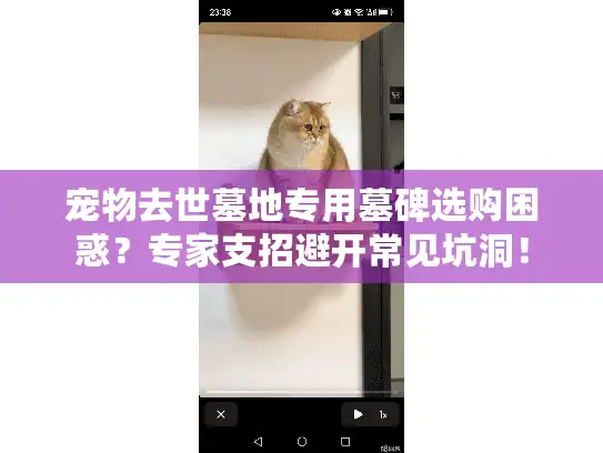 宠物去世墓地专用墓碑选购困惑?专家支招避开常见坑洞! 宠物去世墓地专用墓碑选购困惑?专家支招避开常见坑洞!