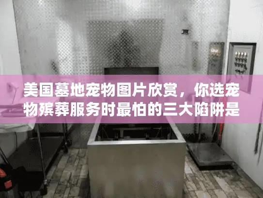 美国墓地宠物图片欣赏，你选宠物殡葬服务时最怕的三大陷阱是什么？