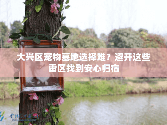 大兴区宠物墓地选择难？避开这些雷区找到安心归宿
