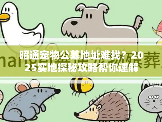 昭通宠物公墓地址难找？2025实地探秘攻略帮你速解